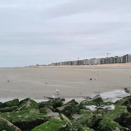Promenade C301 Near The And Center Daire Koksijde